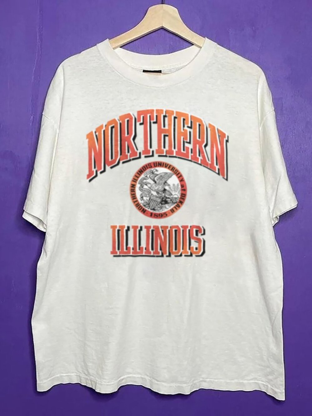 Vintage 90s Northern Illinois Huskies Shirt, Northern Illinois University Shirt